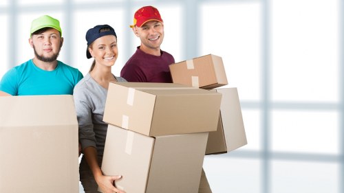 Submitting a removals complaint with supporting details